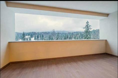 Апартаменты Silver Mountai G1 40 Deluxe Пояна-Брашов Экстерьер фото